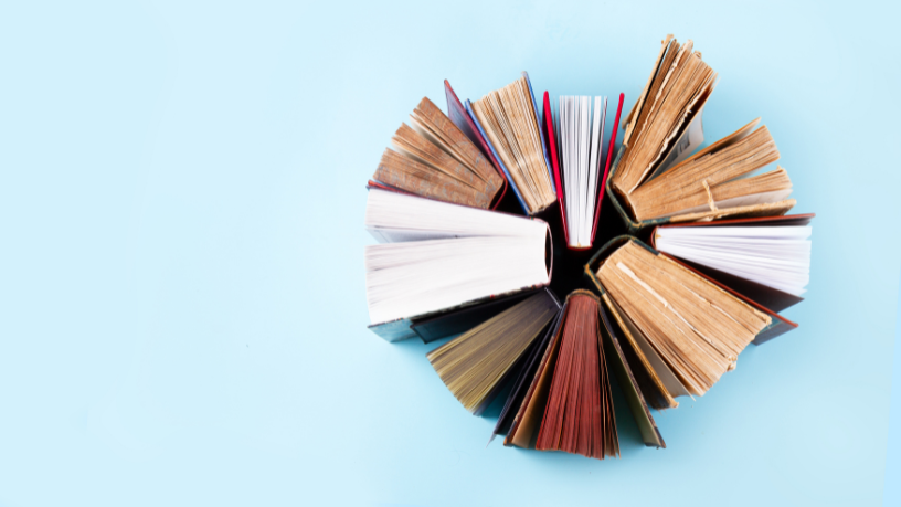 Resumo do livro “A Ladeira da Saudade” – Geni Guimarães