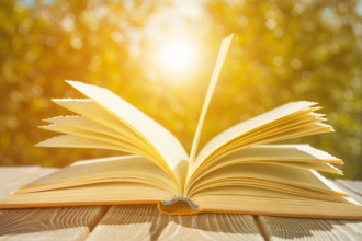 Resumo do livro “As Rosas Eram Todas Vermelhas” – Luiz Vilela