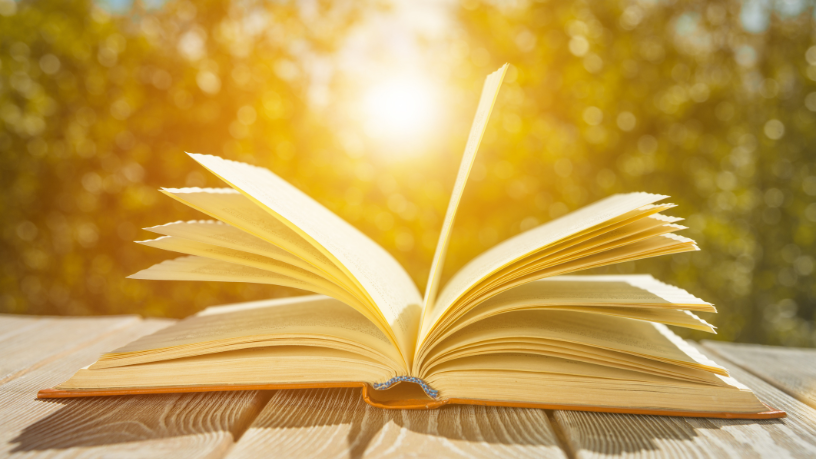 Resumo do livro “As Rosas Eram Todas Vermelhas” – Luiz Vilela