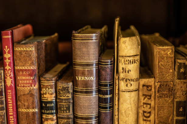 Resumo do livro “As Vozes do Campo” – Felipe Arantes