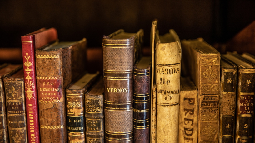 Resumo do livro “As Vozes do Campo” – Felipe Arantes