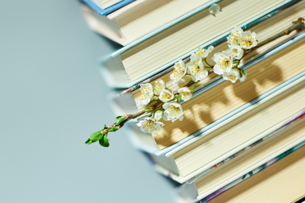 Resumo do livro “Como Advogar no Direito de Família e Sucessões” – Andréa Tupinambá