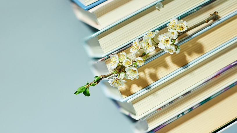 Resumo do livro “Como Advogar no Direito de Família e Sucessões” – Andréa Tupinambá