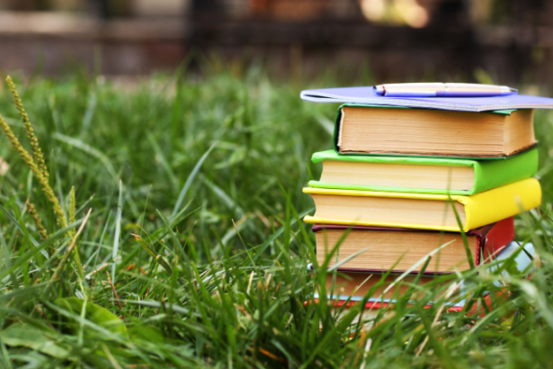 Resumo do livro “Contos Novos” – Mário de Andrade