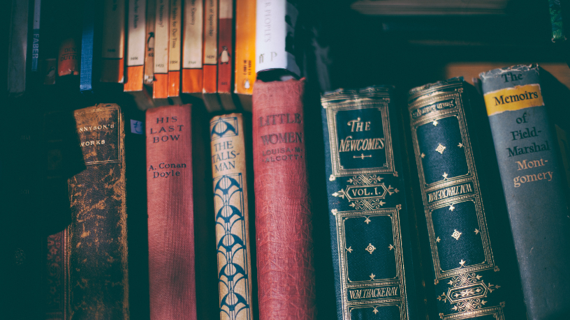 Resumo do livro “Direito Processual Civil e Novas Tendências” – Ana Cláudia Martins