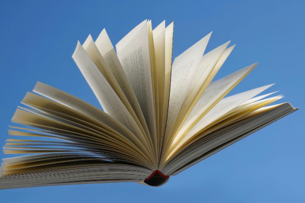 Resumo do livro “Drive” – James Sallis