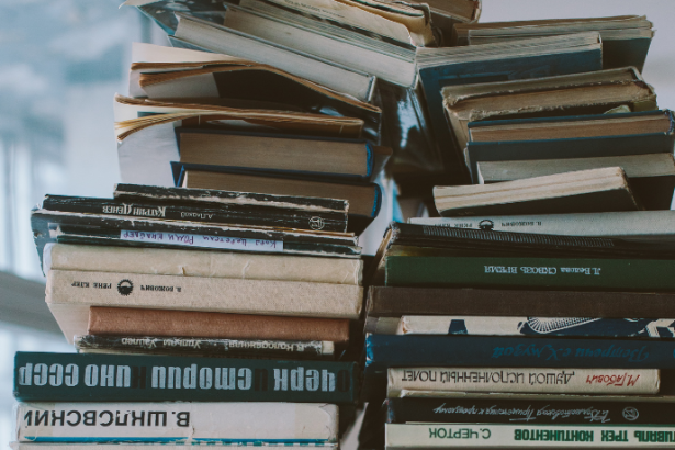 Resumo do livro “Flores de Ferro” – Marta Lopes