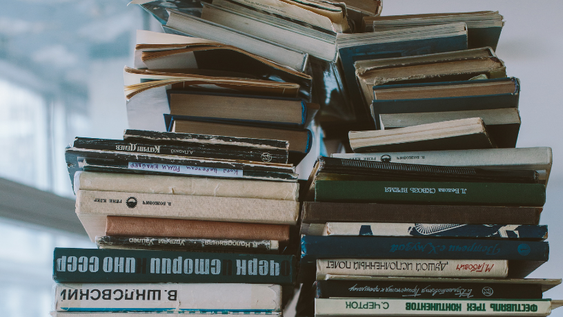 Resumo do livro “Flores de Ferro” – Marta Lopes