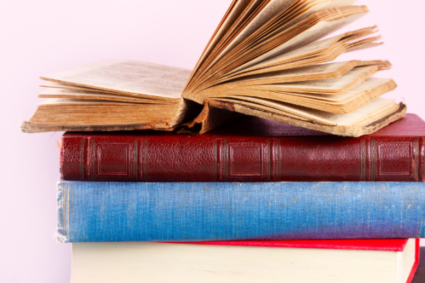 Resumo do livro “Manual Prático da Advocacia Cível” – Sérgio Ricardo de Souza