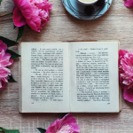 Resumo do livro Manual Prático da Advocacia Previdenciária” – Jane Berwanger