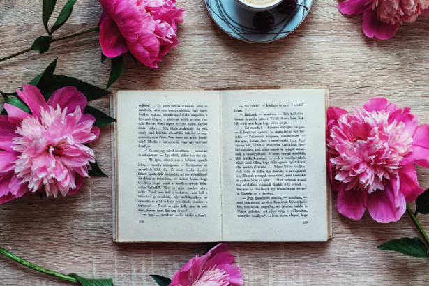 Resumo do livro Manual Prático da Advocacia Previdenciária” – Jane Berwanger