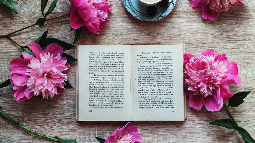 Resumo do livro Manual Prático da Advocacia Previdenciária” – Jane Berwanger