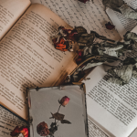 Resumo do livro “O Cabeleira” – Franklin Távora