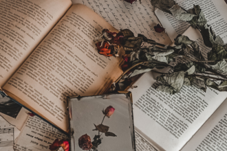 Resumo do livro “O Cabeleira” – Franklin Távora