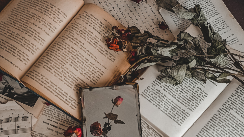 Resumo do livro “O Cabeleira” – Franklin Távora