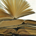 Resumo do livro “O Desamparo” – Marcelo Mirisola