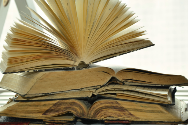 Resumo do livro “O Desamparo” – Marcelo Mirisola