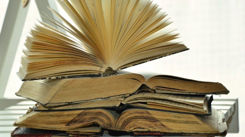 Resumo do livro “O Desamparo” – Marcelo Mirisola
