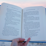 Resumo do livro “O Largo da Palma” – Adonias Filho