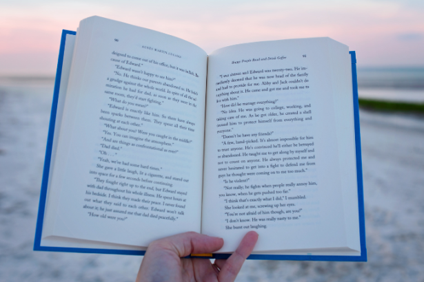 Resumo do livro “O Largo da Palma” – Adonias Filho