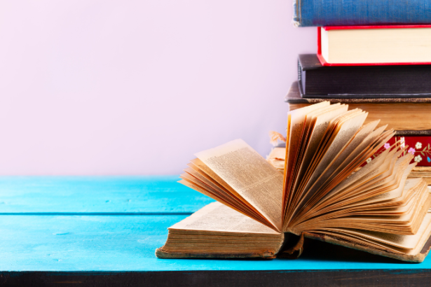 Resumo do livro “O Solar dos Vambás” – Gustavo Barroso