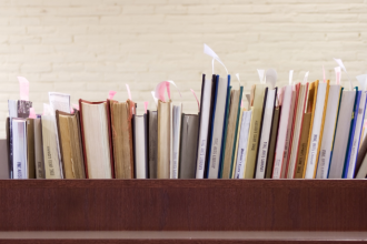 Resumo do livro O Vento e o Barquinho de Papel – Helena Duarte Souza