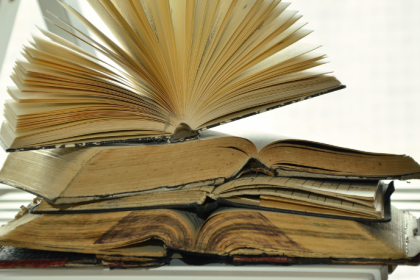 Resumo do livro “Teoria Geral dos Recursos” – Silvia Almeida