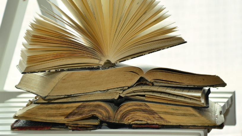 Resumo do livro “Teoria Geral dos Recursos” – Silvia Almeida