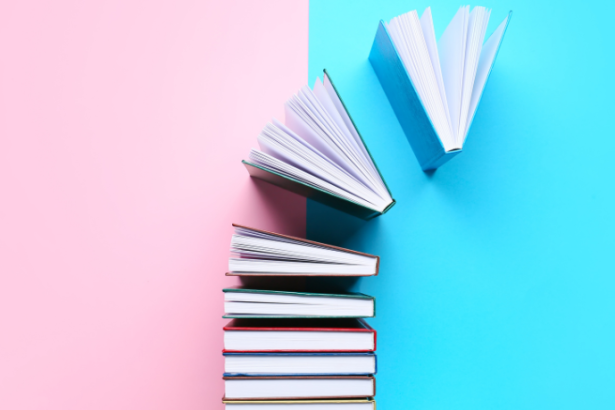 Resumo do livro “Técnica da Petição Inicial – José Eduardo Carreira Alvim”