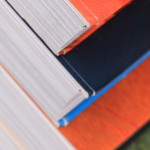 Resumo do livro "O Sobrevivente" – Richard Bachman (Stephen King)