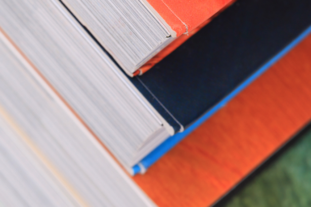 Resumo do livro "O Sobrevivente" – Richard Bachman (Stephen King)