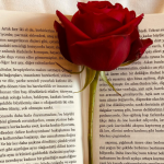 Resumo do livro “A Advocacia nos Juizados Especiais Cíveis” – Fernanda Marinela
