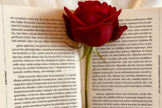 Resumo do livro “A Advocacia nos Juizados Especiais Cíveis” – Fernanda Marinela