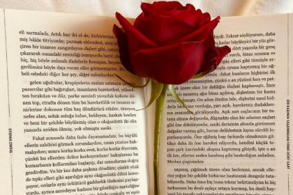 Resumo do livro “A Advocacia nos Juizados Especiais Cíveis” – Fernanda Marinela