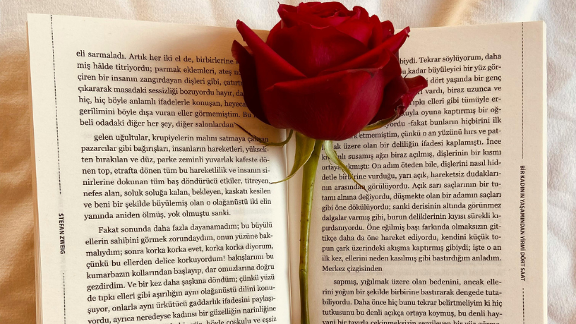 Resumo do livro “A Advocacia nos Juizados Especiais Cíveis” – Fernanda Marinela