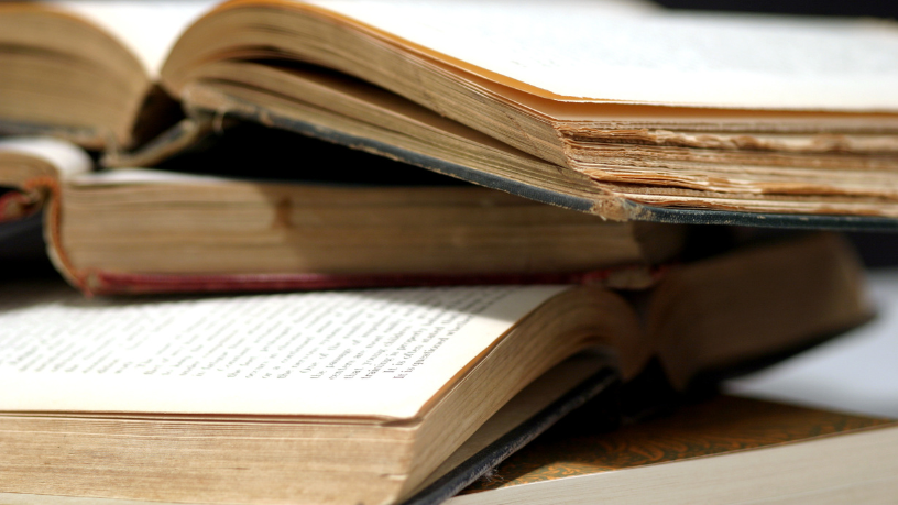 Resumo do livro “A Andorinha e o Ramo Seco – Fábula de Monteiro Lobato”