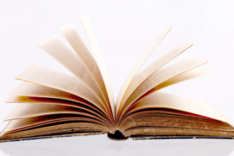 Resumo do livro “A Casa da Rua 5” – Mário de Almeida