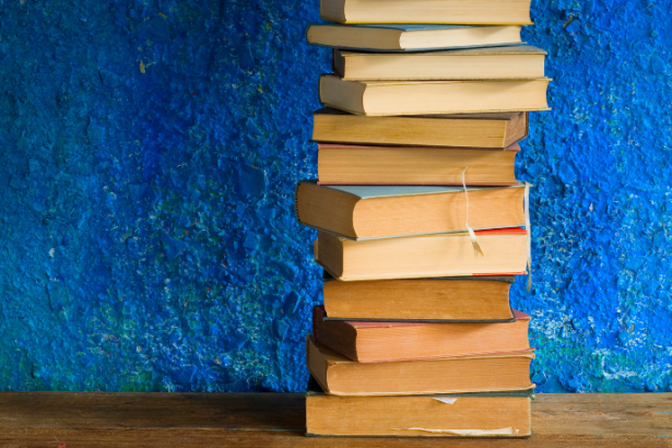 Resumo do livro “A Ética da Advocacia: Entre o Direito e a Moral” – Roberta Resende