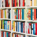 Resumo do livro “A Gloriosa Família” – Pepetela