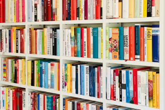 Resumo do livro “A Gloriosa Família” – Pepetela