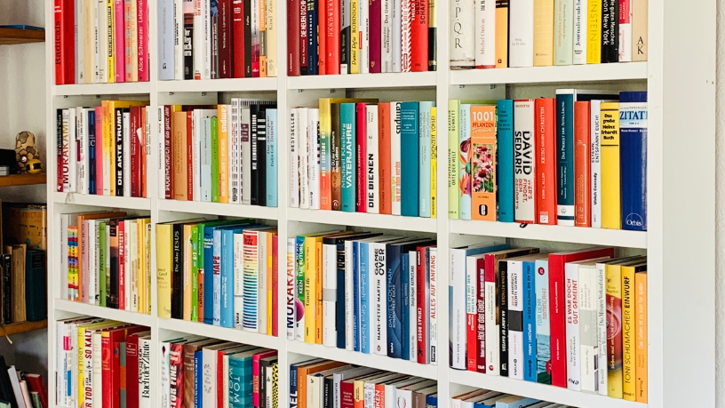 Resumo do livro “A Gloriosa Família” – Pepetela