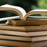 Resumo do livro “A Janela dos Pássaros” – Tiago Lemos Duarte
