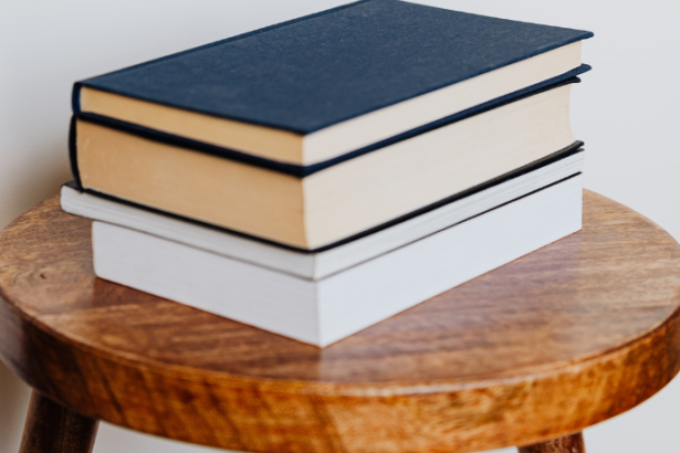 Resumo do livro “A Linha do Horizonte” – Otto Lara Resende