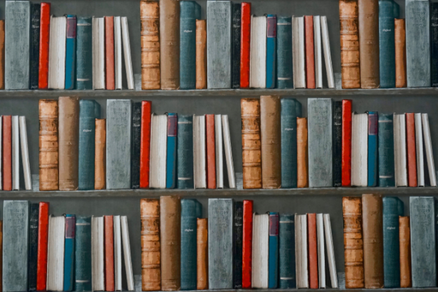 Resumo do livro “A Margem Imóvel do Rio” – Antonio Callado