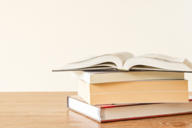 Resumo do livro “A Muralha” – Dinah Silveira de Queiroz