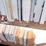 Resumo do livro “A Noiva do Tradutor” – João Almino