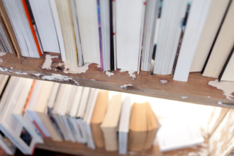 Resumo do livro “A Noiva do Tradutor” – João Almino