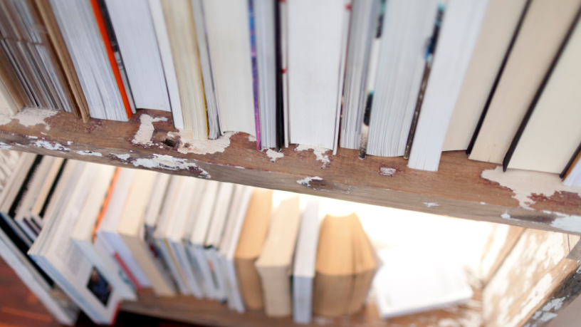 Resumo do livro “A Noiva do Tradutor” – João Almino