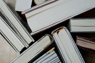 Resumo do livro “A Paixão Segundo G.H.” – Clarice Lispector