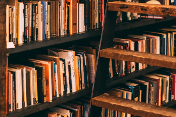 Resumo do livro “A Pomba e a Formiga – Fábula de Esopo”